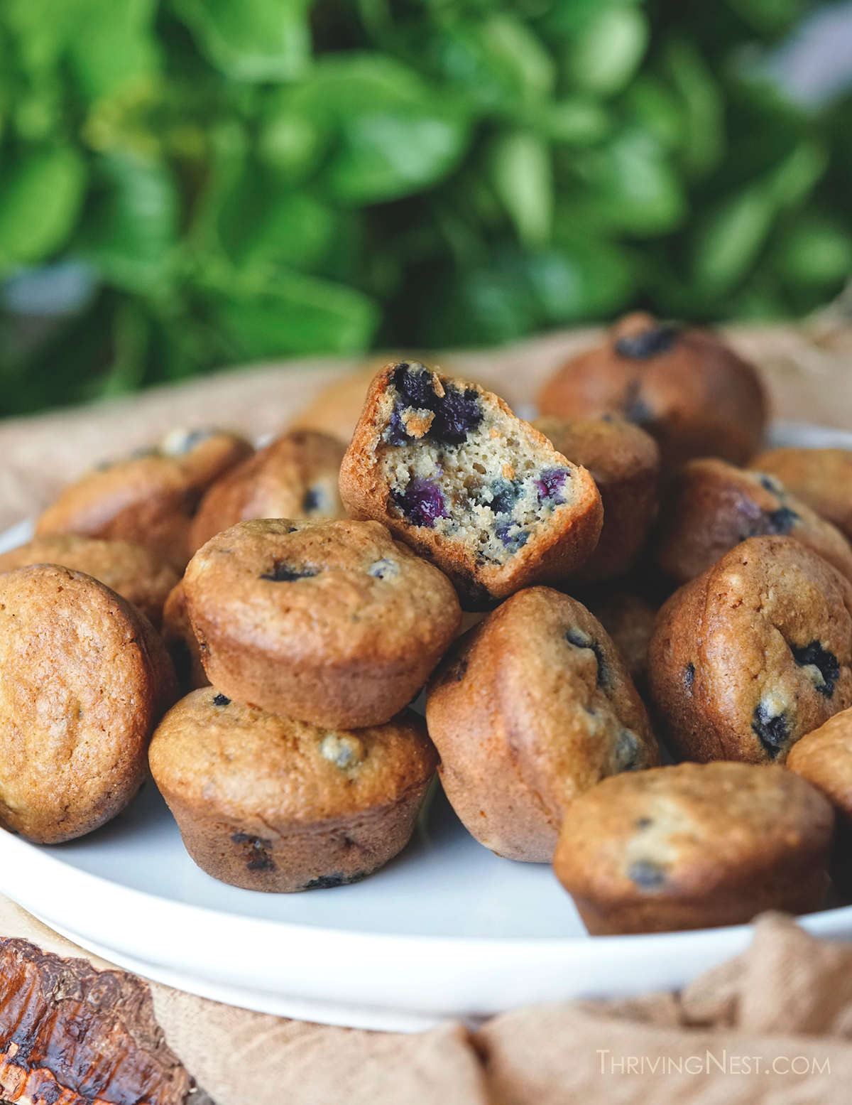 Blueberry muffins for baby, toddlers and kids gluten free and dairy free option.