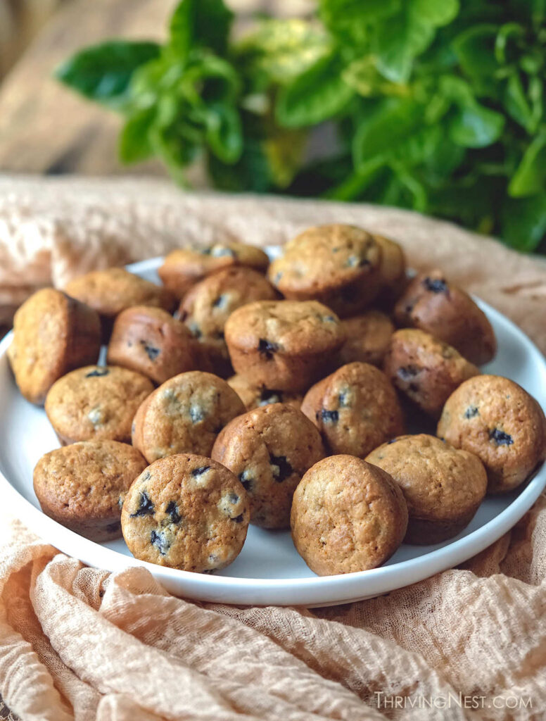 Easy Baby Blueberry Muffins (6 months+ Dairy Free GF Option) ThrivingNest