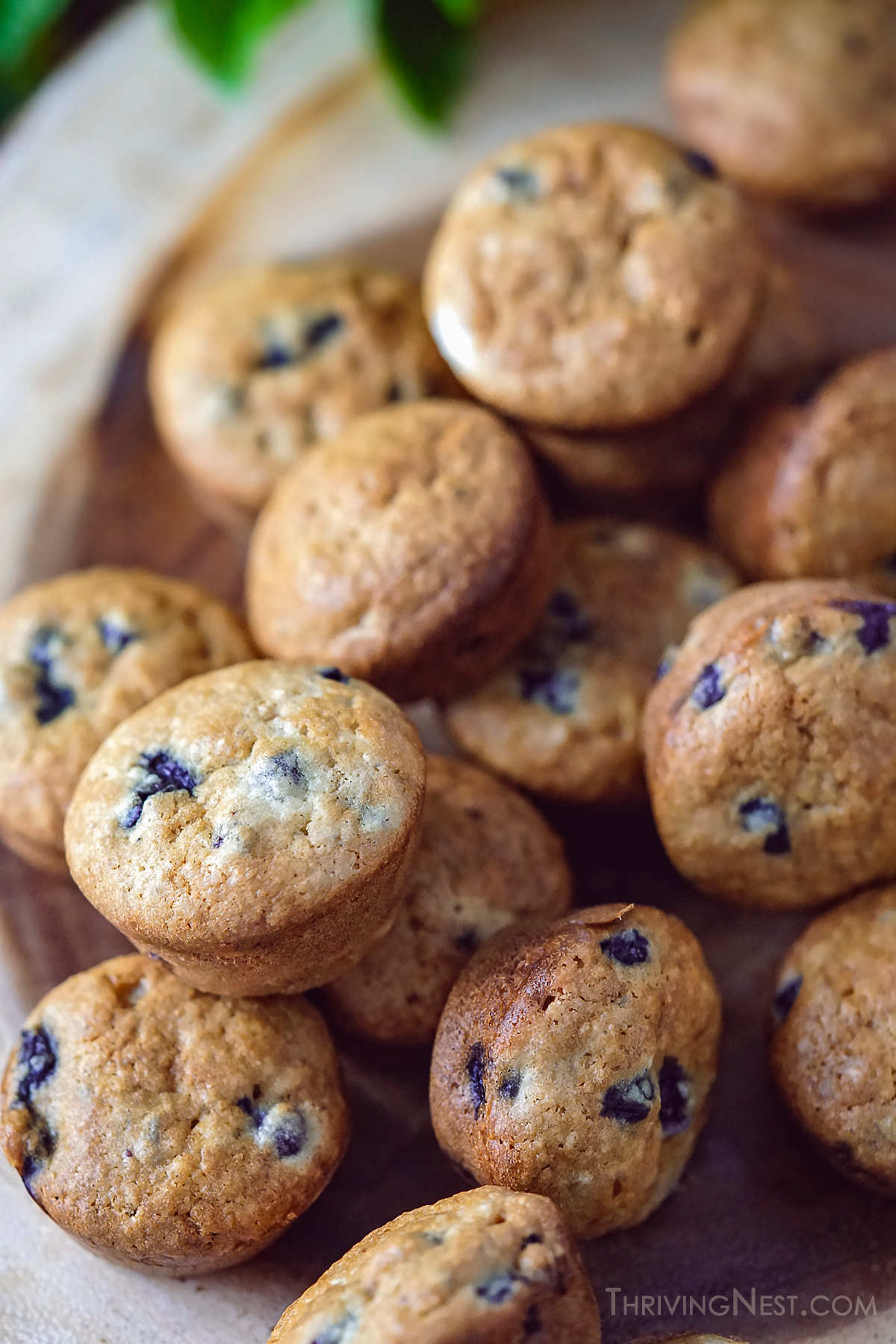 Mini muffins for baby with blueberry and healthier ingredients easy recipe that can be adapted to be gluten free or dairy free.