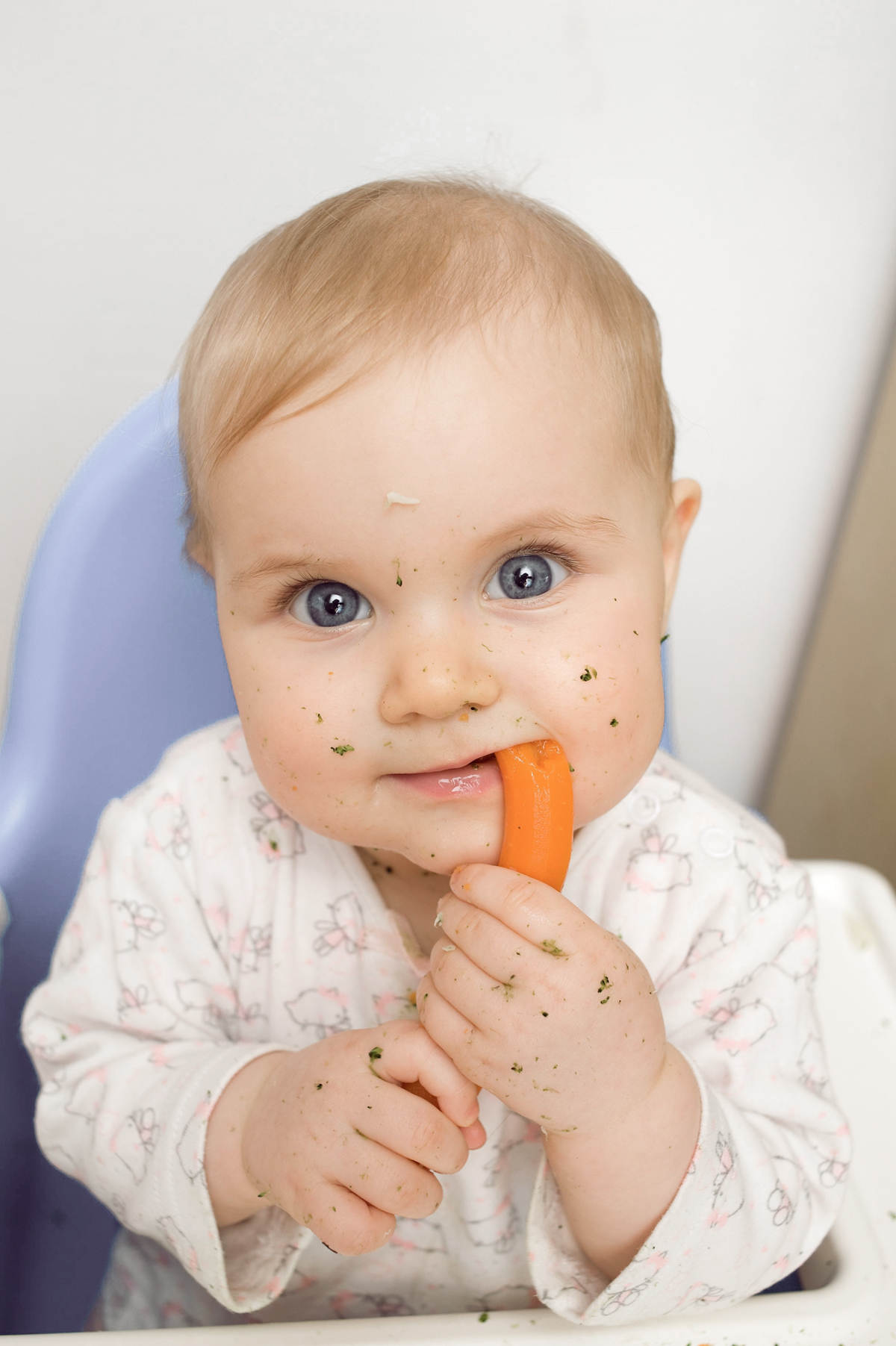 Baby led weaning eating carrots.