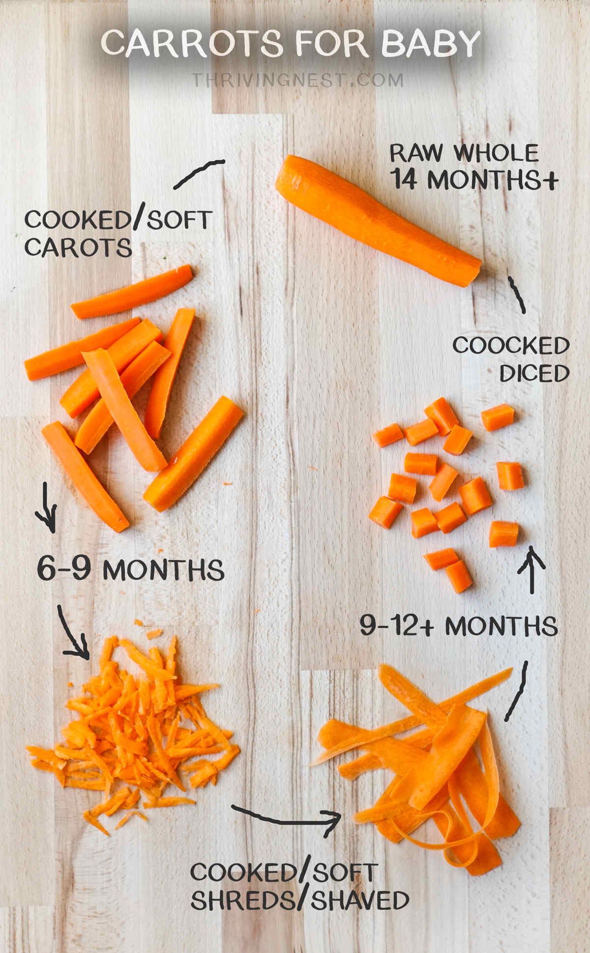 Carrots Baby Led Weaning: How to cut and serve carrots to babies by age. #babyledweaning #carrots