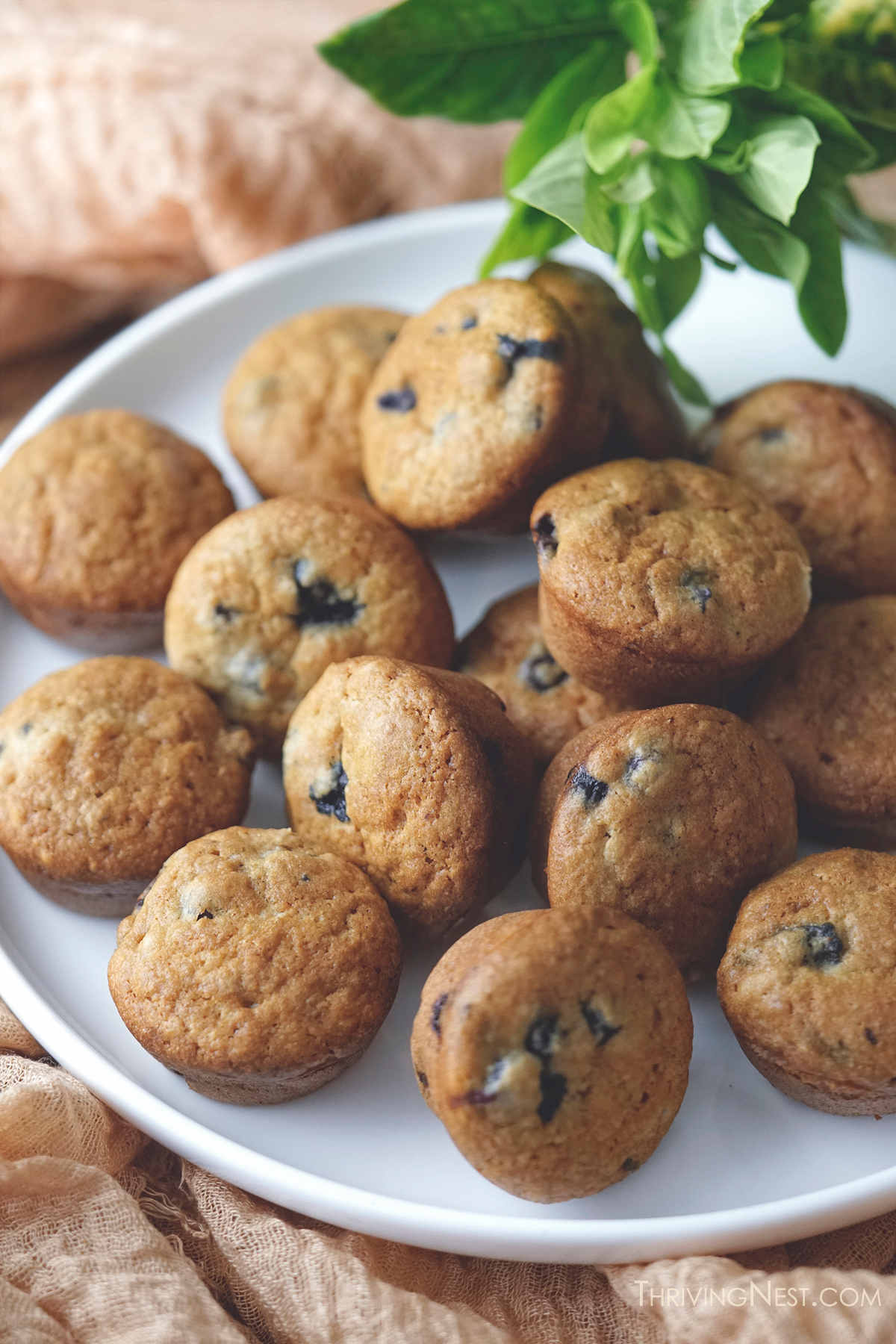 Healthy easy baby blueberry muffins for baby led weaning or as finger food.