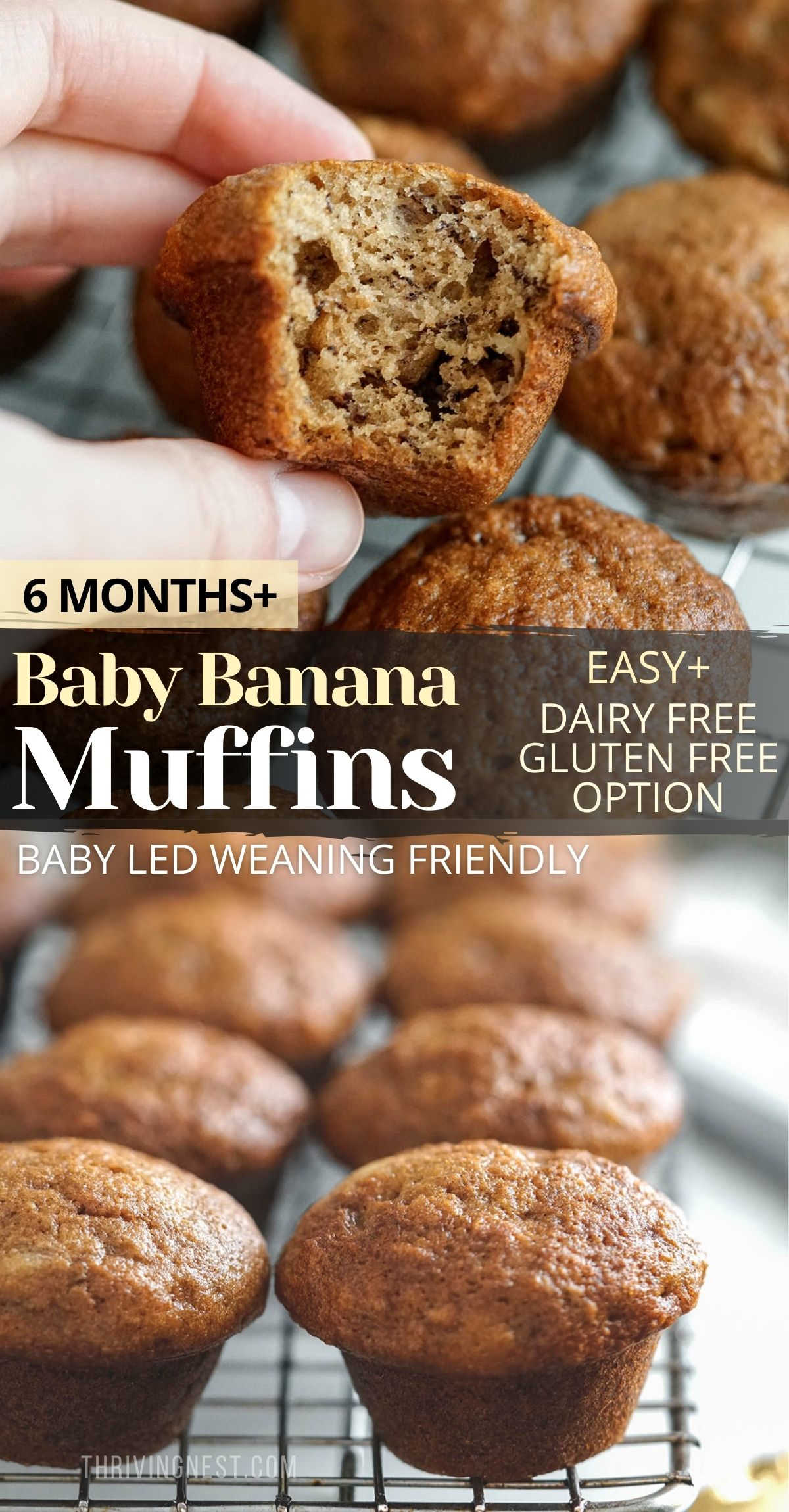 Easy soft banana muffins for baby ready in just 30 minutes. These healthy baby banana muffins are so fluffy, moist - perfect for babies six month and up, for baby led weaning (BLW), including toddlers, older kids and even adults. To make this baby banana muffin recipe you don’t need special equipment, just a fork and one bowl. Also make the banana muffins dairy free and gluten free. #bananamuffins #babymuffins #babyledweaning #babyfood #healthymuffins #babyrecipes #toddler #fingerfood #blw #breakfast #easy