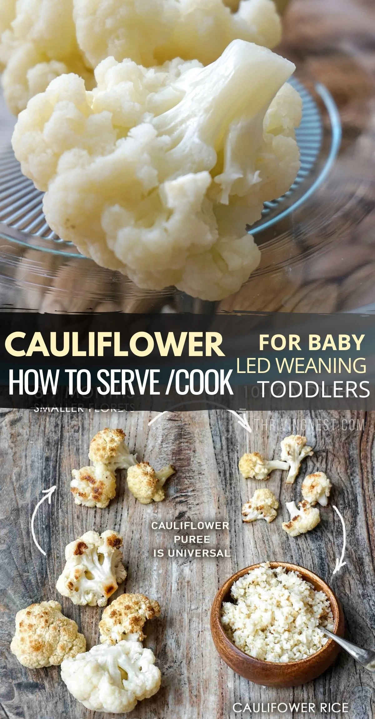 Learn how to cook, cut and serve cauliflower for baby and baby led weaning method. Whether it’s steamed, puréed, mashed, grated or roasted, it makes a nutritious baby food for babies starting around 7-8 months or toddlers / older kids. Make a large variety of cauliflower baby puree combinations with different textures or finger foods adjusted by age. #babyledweaning #blw #cauliflower #cauliflowerbabyfood #babyfood #recipe #babyledfeeding #cauliflowerpuree #cauliflowerforbaby