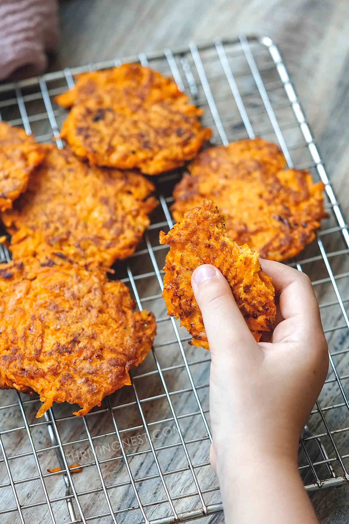 Sweet potato fritters patties in baby hand, baby led weaning finger food.