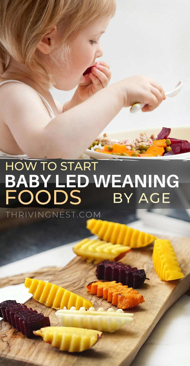 Baby Led Weaning (BLW) Foods To Start By Age - ThrivingNest