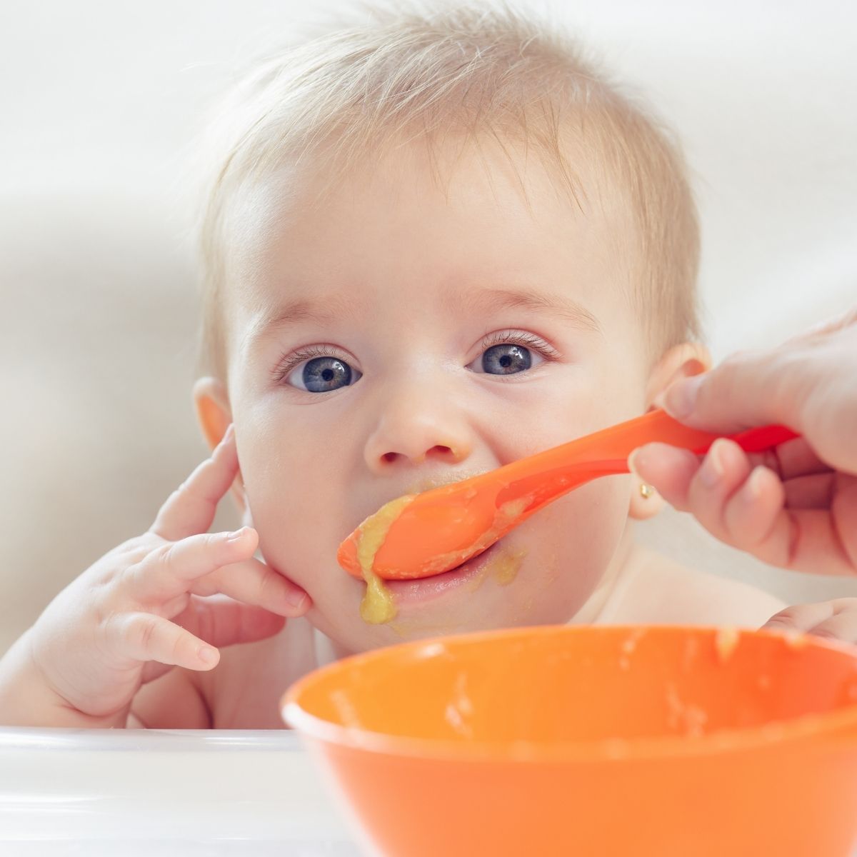 Baby led weaning vs purees.