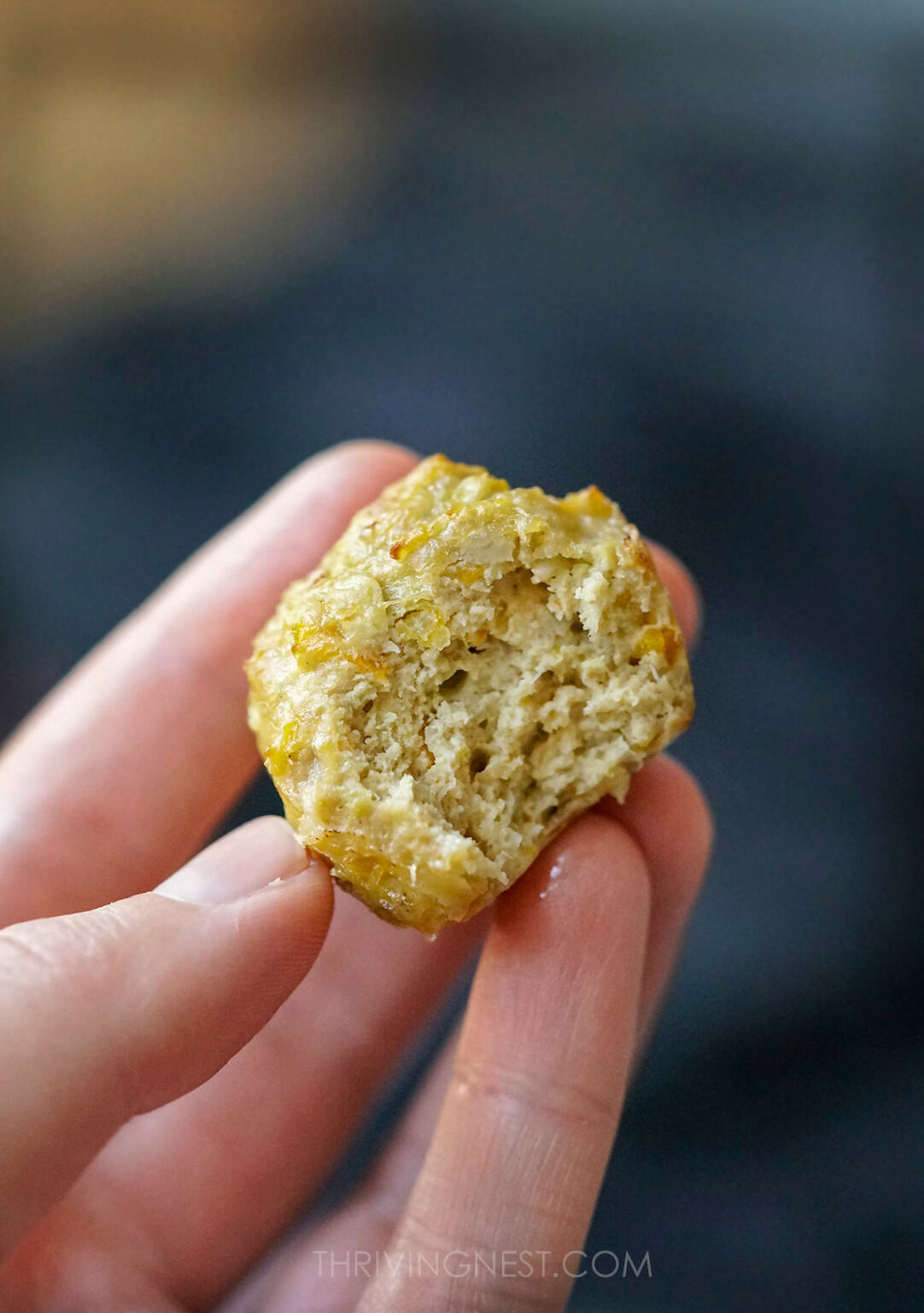 Soft Chicken Meatballs For Babies, Toddlers, Kids (BLW) ThrivingNest