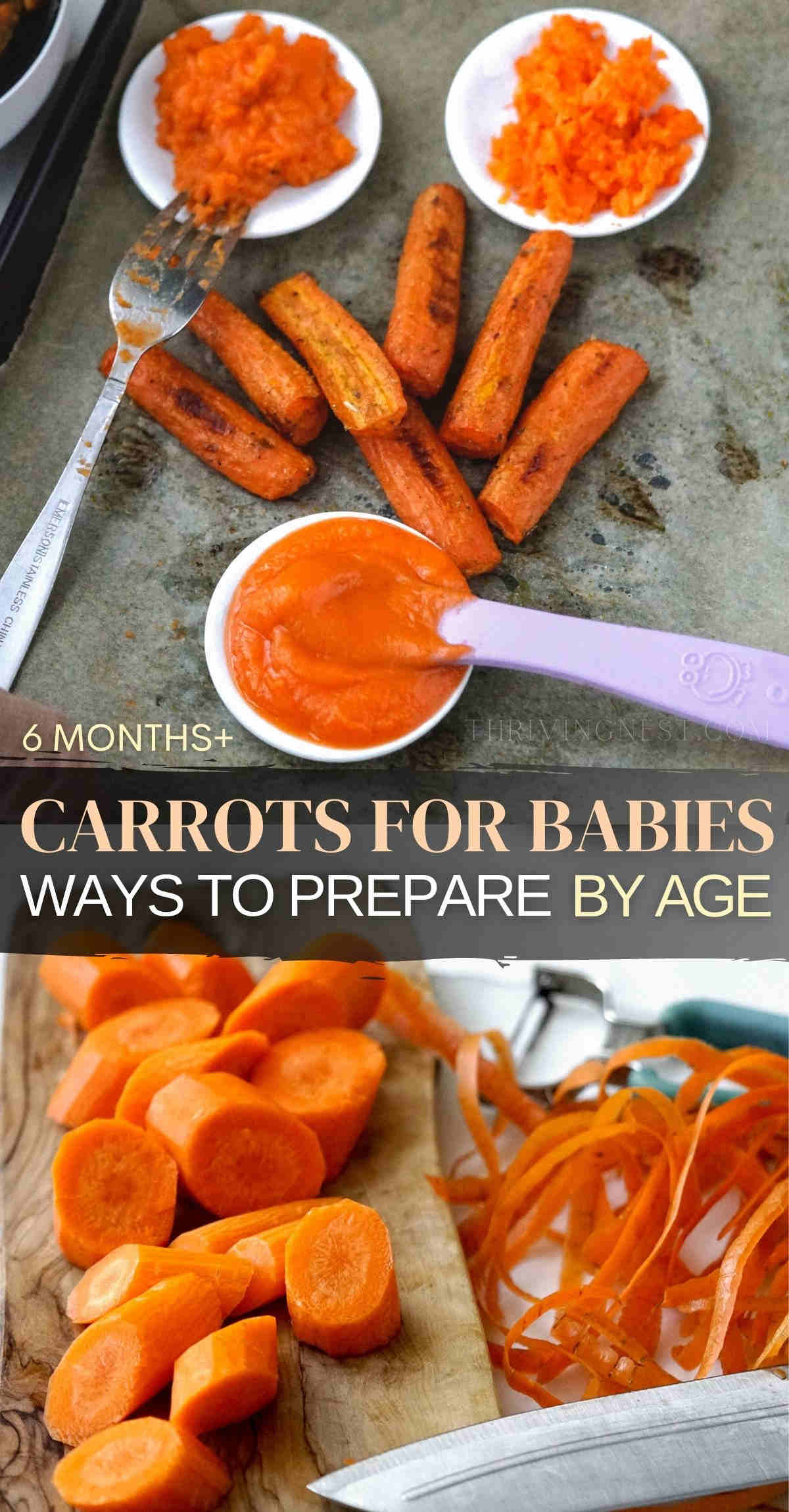 Carrots for babies make the perfect first solid baby food beginning with 6 months of age. Learn how to prepare baby's first carrots whether they’re steamed, puréed, mashed, grated or roasted and serve according to baby's age and needs. Plus the best way to cook carrots for babies to retaining their nutrients, taste and texture. #carrotsforbabies #carrotsforbaby #carrotbabyfood #carrotbabyrecipes #carrotbabyfood #carrotblw #blw