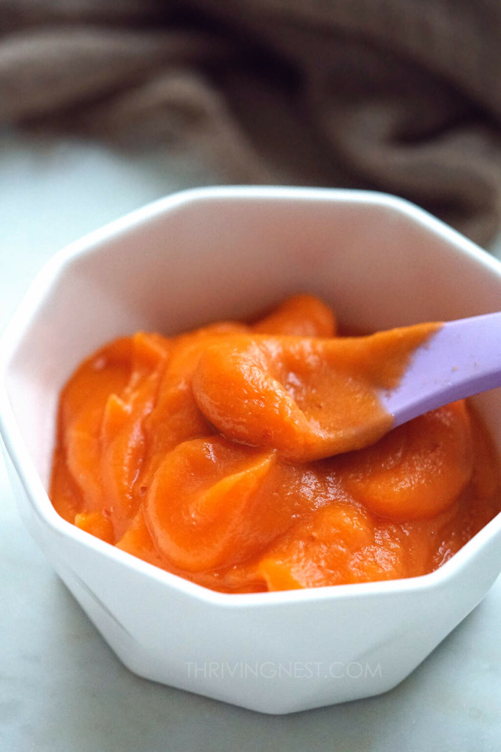 carrot-puree-for-babies-by-stage-combination-ideas-thrivingnest