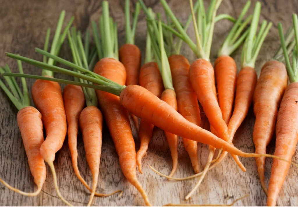 Carrots For Babies Ways To Cook, Serve & Recipe Ideas By Age