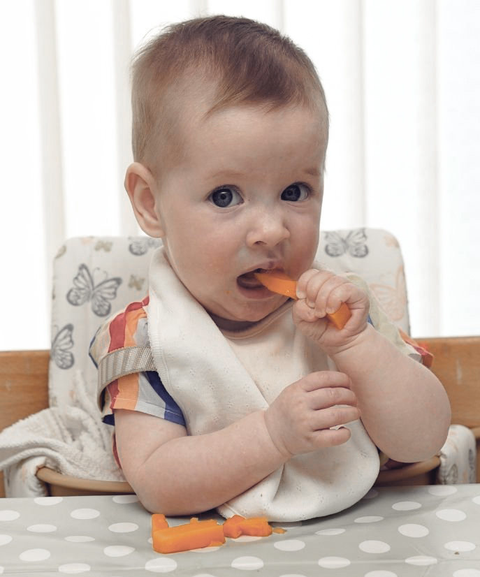 Baby eating cooked carrot sticks.