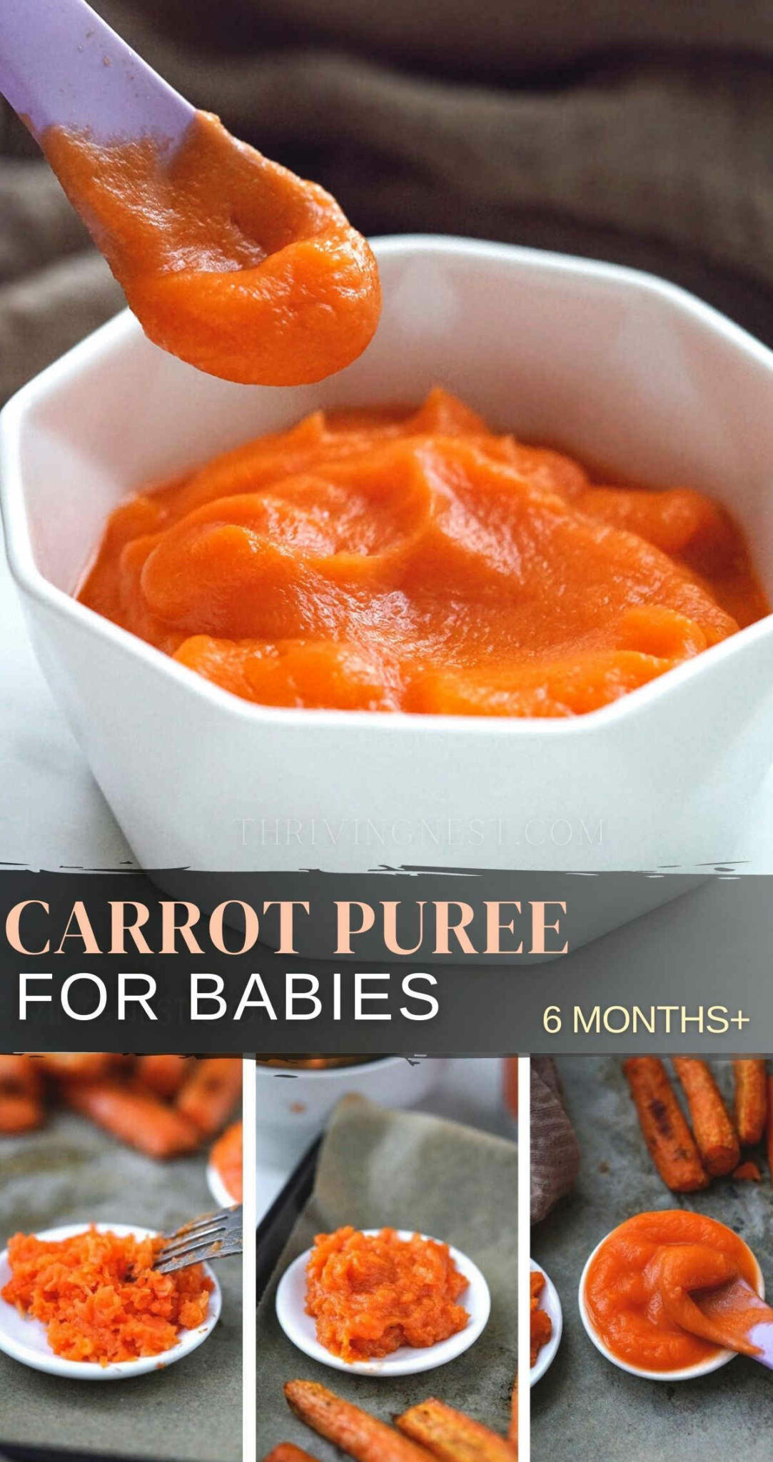 Carrot Puree For Babies By Stage + Combination Ideas - Thrivingnest