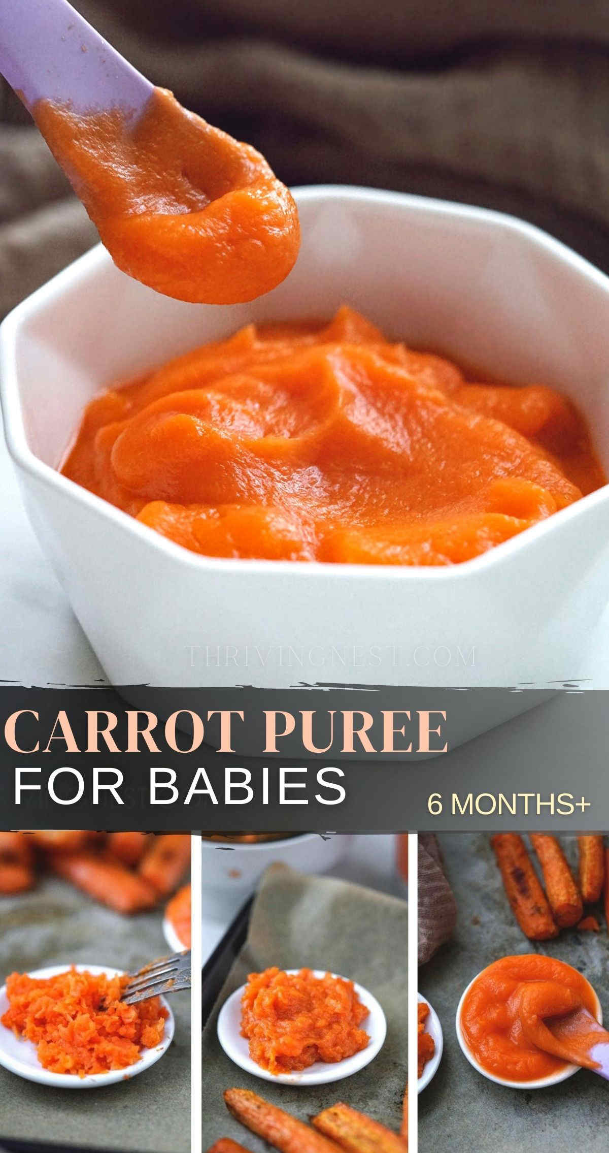 Serving carrot puree for babies is one of the best ways to introduce and prepare carrots for babies at an early age. Due to it's nutritional profile and sweet taste, carrot puree makes a great stage 1 baby food for 6 months old babies. Usually the carrot puree is well accepted whether is served alone or incorporated in other foods. Here is how to make carrot puree for babies by age. #carrotpuree #pureecarrots #babycarrotpuree #carrotpureeforbaby #stage1babyfood #stage1puree #babyfood #6months