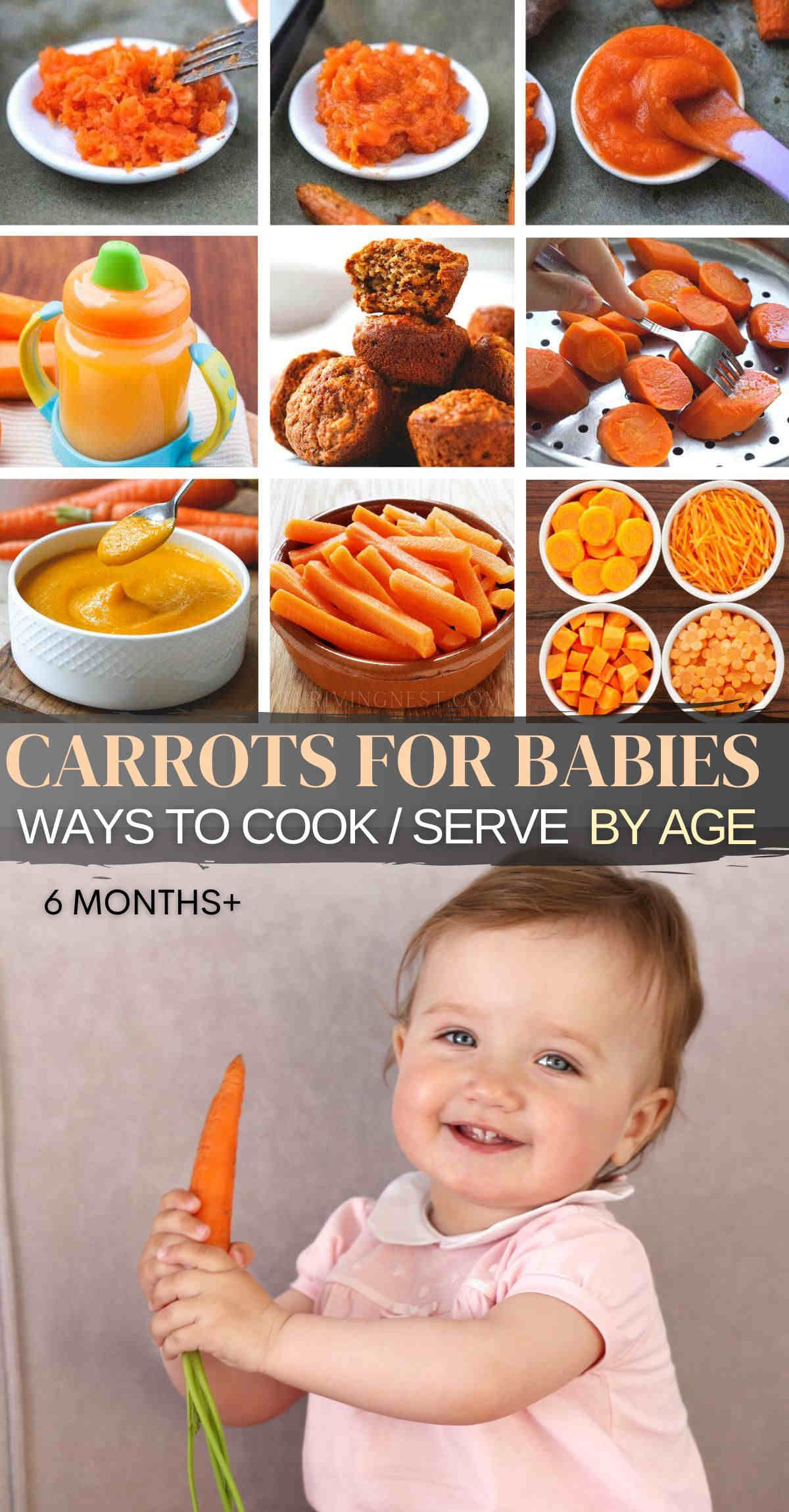 Learn how to prepare baby's first carrots beginning with 6 months of age whether they’re steamed, puréed, mashed, grated or roasted. How to serve as first solid baby food according to baby's age and needs. Plus the best way to cook carrots for babies (recipes) to retaining their nutrients, taste and texture. #carrotsforbabies #carrotsforbaby #carrotbabyfood #carrotbabyrecipes #carrotbabyfood #carrotblw #blw
