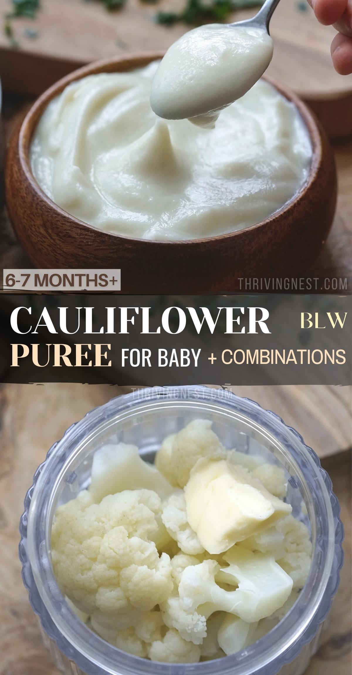 Introduce your baby to cauliflower by making a cauliflower puree. Nutrient dense cauliflower can be used in a variety of ways to make healthy baby food great as stage 1 baby food, baby led weaning or stage 2 by trying different cauliflower puree combinations. #cauliflowerpuree #babyfood #cauliflowerpureebaby #6months