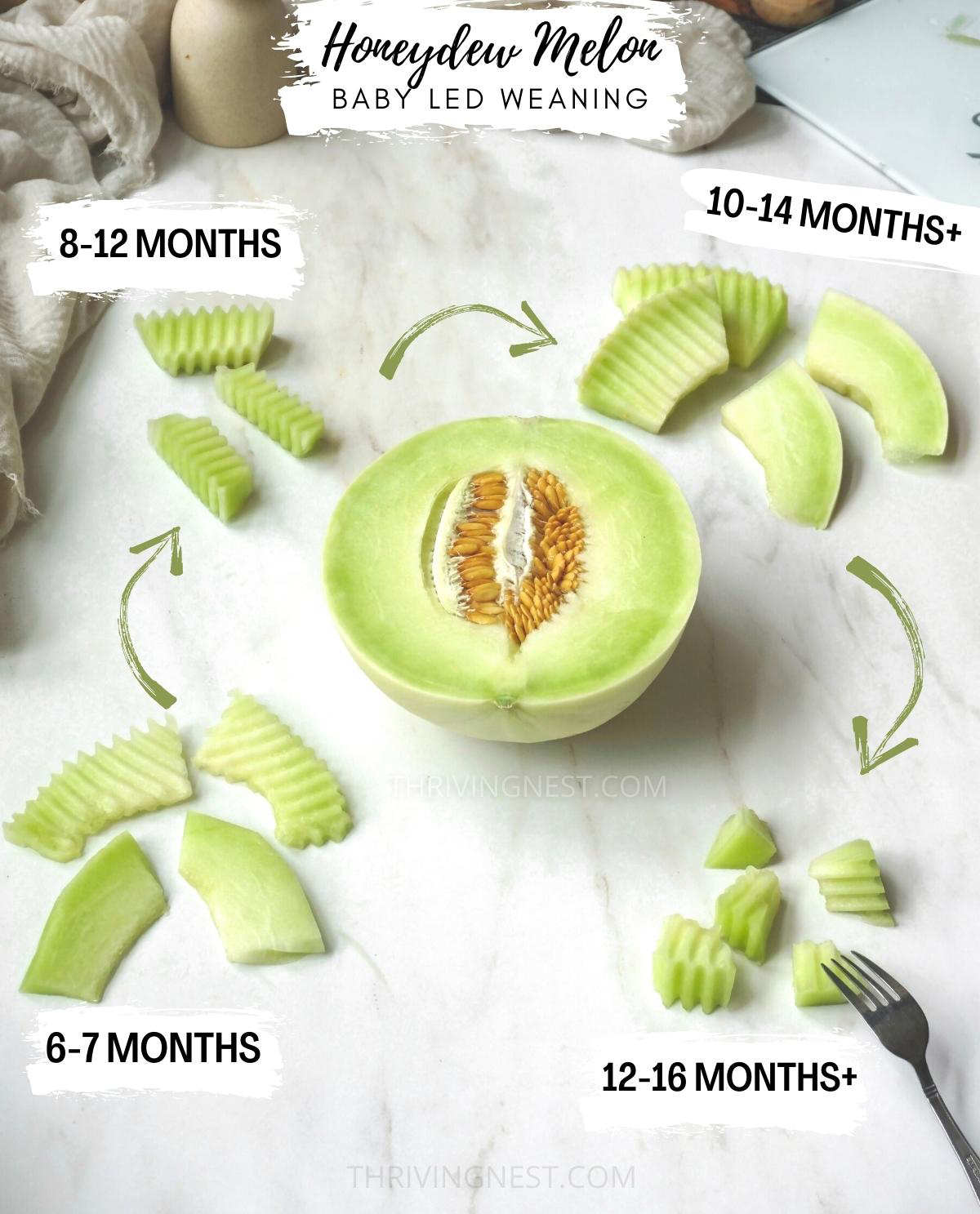 How to cut honeydew melon for babies (baby led weaning) how to serve melon to baby. #melon #babyledweaning