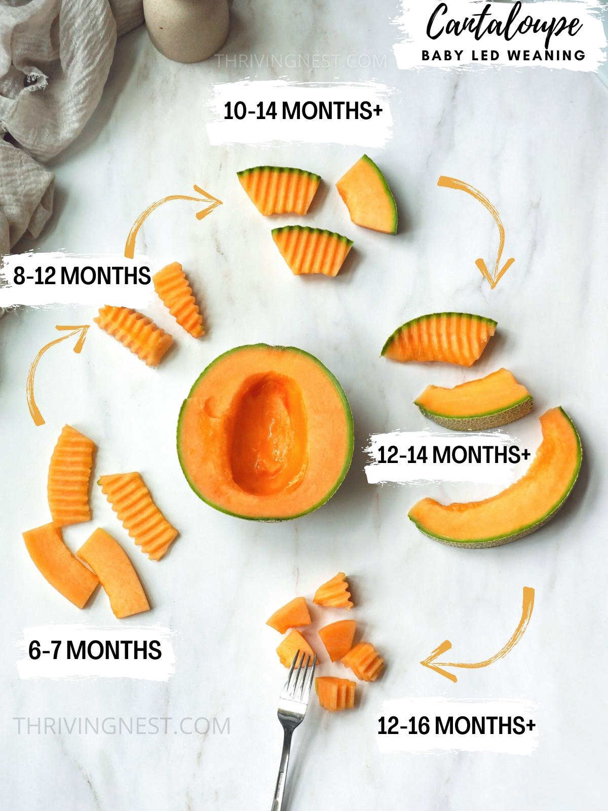 How to cut cantaloupe for babies (baby led weaning). How to serve melon to baby by age. #melon #babyledweaning