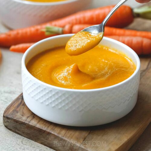 carrot soup for babies featured image