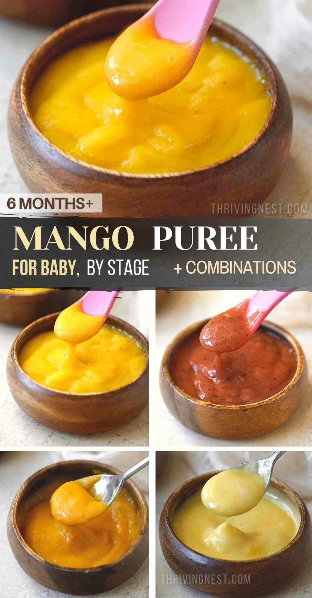Mango Puree for Baby By Age Combinations, Benefits & Tips ThrivingNest