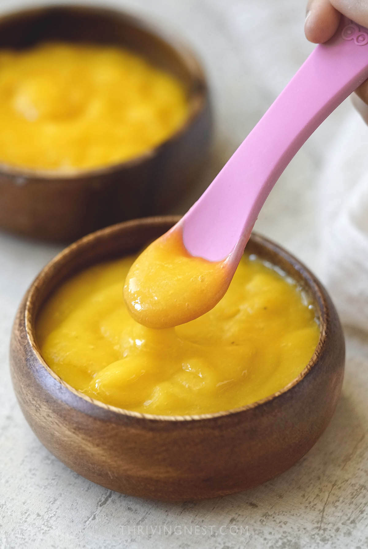 How To Make Baby Puree Taste Good