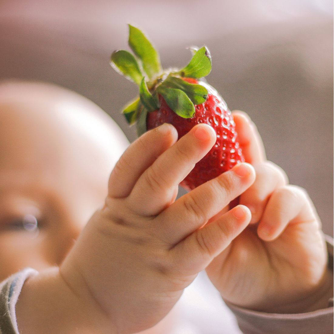 baby holding whole strawberry