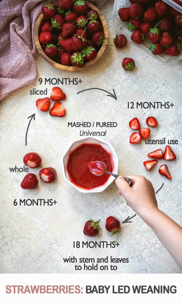 Strawberries For Baby Led Weaning (How To Cut/Serve) ThrivingNest