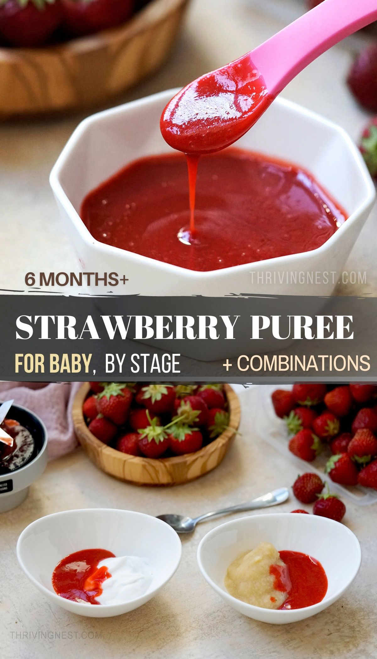 Strawberry puree is a healthy and delicious first baby food that babies 6 months and up can enjoy. You can either make strawberry puree from cooked strawberries or use fresh / frozen strawberries if you want to preserve more nutrients. Serve small portions by itself or mix the strawberry puree with other foods to make delicious puree combinations. #strawberrypuree #babyfood #strawberryforbaby #stage1