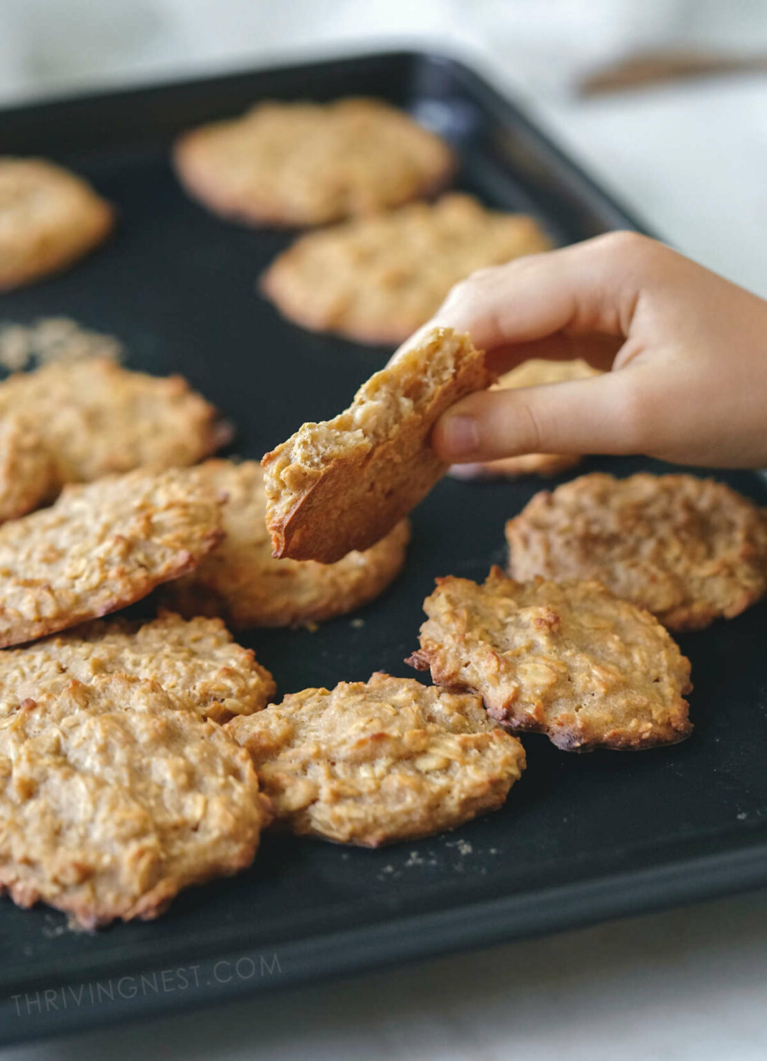 Baby Oatmeal Cookies + Variations (9 months +) ThrivingNest