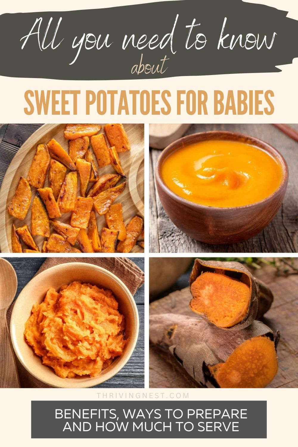 Sweet potato for baby / toddler - a guide about all you need to know: benefits, how to cook, prepare (whether is teamed, roasted, baked, boiled), how to mash and puree for 6 month old babies, and recipes with sweet potatoes for older babies and toddlers including baby led weaning. #sweetpotato #baby #blw #howto #toddler